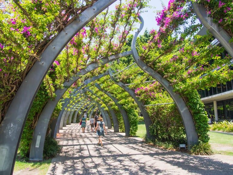 10+ Things to do in Brisbane, Queensland with kids 65 The Grand Arbor Walk Southbank, Brisbane Queensland
