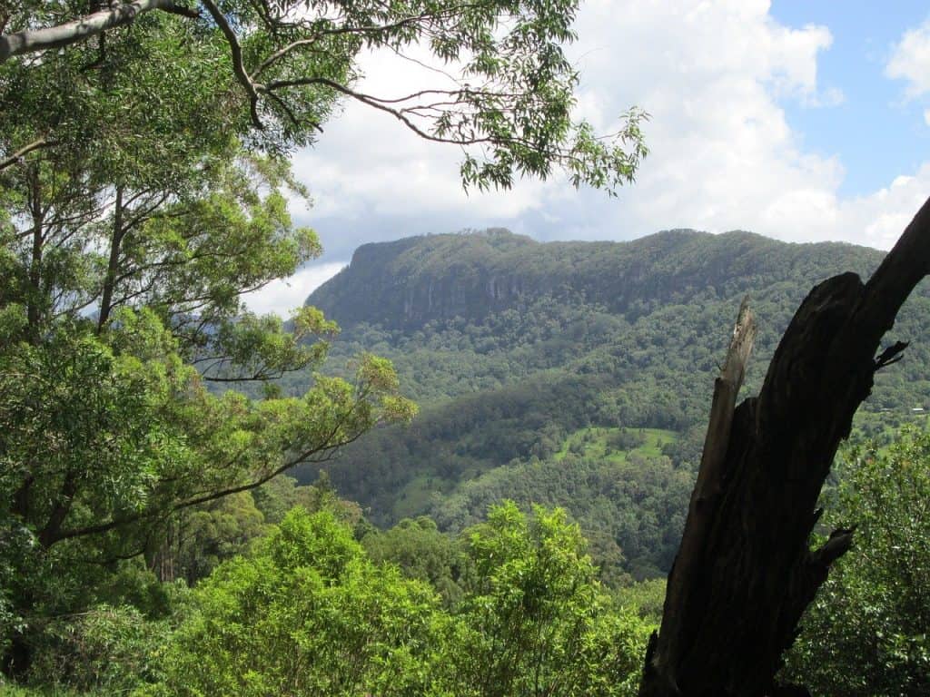 Things to do on the Gold Coast 7 THE HINTERLAND