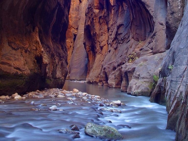 One Week Itinerary for Utah National Parks 12 The Narrows in Zion National Park