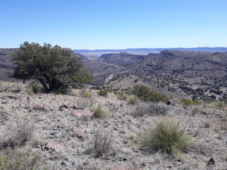 Best Things to Do in Fort Davis, Texas 59 Things to do in Ft. Davis, Texas