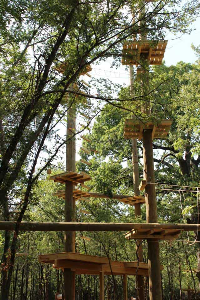 Trinity Forest Adventure Park