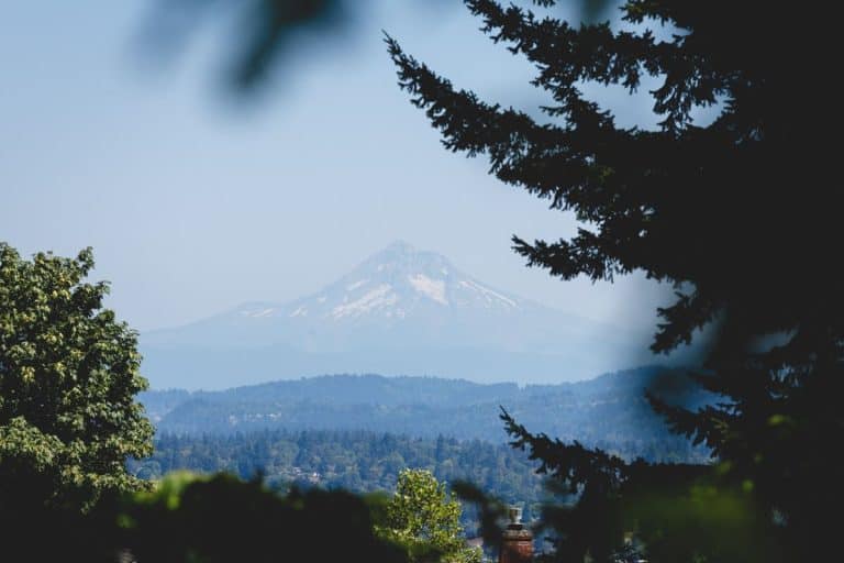 view-of-mount-hood-from-portland