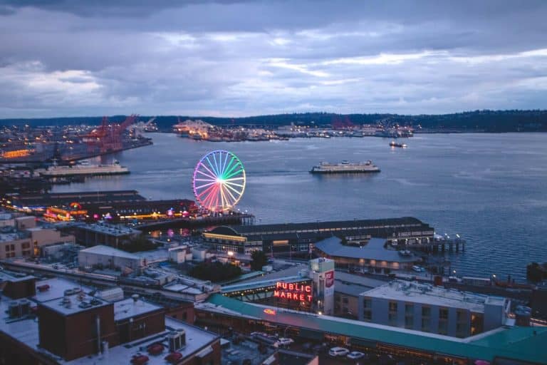 How to Spend a Weekend in Seattle with Kids 8 View of Seattle from the Nest (1)