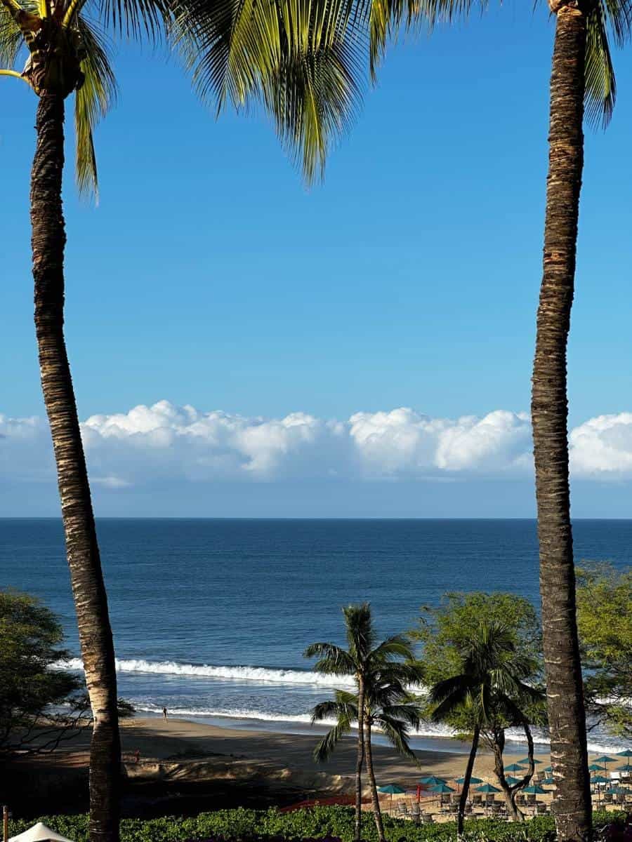 7-Day Itinerary to Exploring Maui and Big Island's National Parks 4 Waimea - Big Island