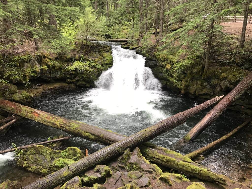 White horse falls
