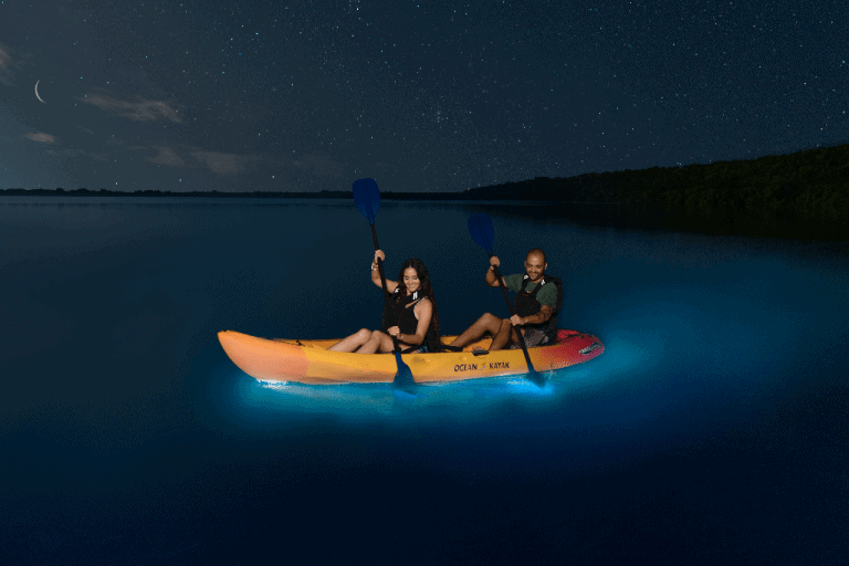 Puerto Rico a 5 Star Vacation Destination 8 Kayaking in Bioluminescent Bay -photo b Discover Puerto Rico
